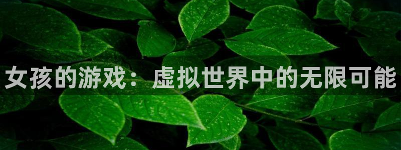 ng娱乐官网版正版下载